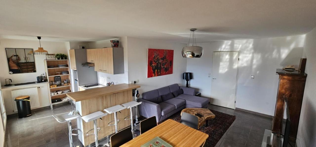 Appartement Coeur Toulousain Avec 2 Chambres Toulouse Exterior foto